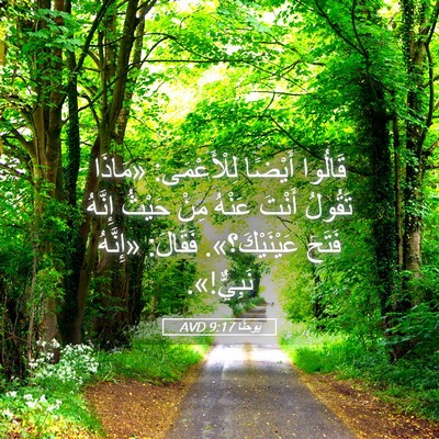 Picture 05 - يوحنَّا 9:17 AVD - قَالُوا أَيْضًا - Bible Verse Picture