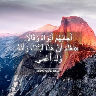 Picture 05 - يوحنَّا 9:20 AVD - أَجَابَهُمْ أَبَوَاهُ - Bible Verse Picture