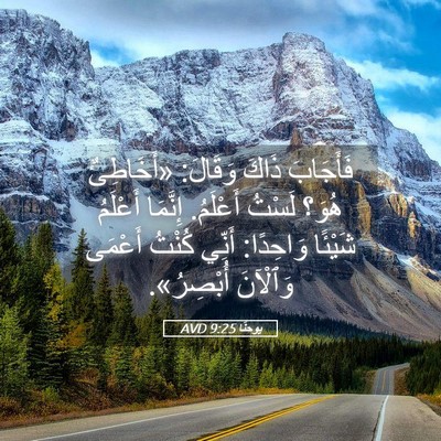 Picture 05 - يوحنَّا 9:25 AVD - فَأَجَابَ ذَاكَ وَقَالَ: - Bible Verse Picture