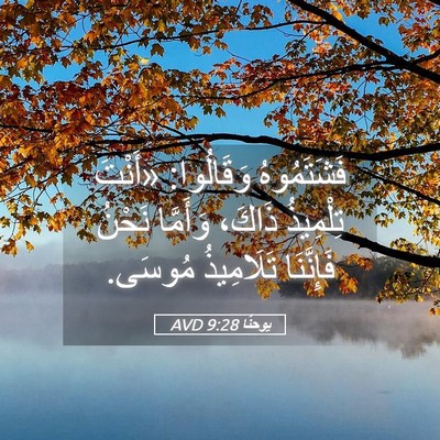 Picture 05 - يوحنَّا 9:28 AVD - فَشَتَمُوهُ وَقَالُوا: - Bible Verse Picture