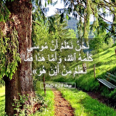 Picture 05 - يوحنَّا 9:29 AVD - نَحْنُ نَعْلَمُ أَنَّ - Bible Verse Picture