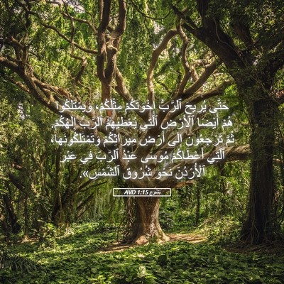 Picture 05 - يَشُوع 1:15 AVD - حَتَّى يُرِيحَ ٱلرَّبُّ - Bible Verse Picture