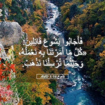 Picture 05 - يَشُوع 1:16 AVD - فَأَجَابُوا يَشُوعَ - Bible Verse Picture