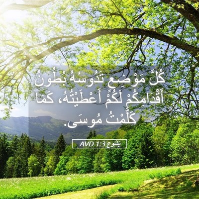 Picture 05 - يَشُوع 1:3 AVD - كُلَّ مَوْضِعٍ تَدُوسُهُ - Bible Verse Picture