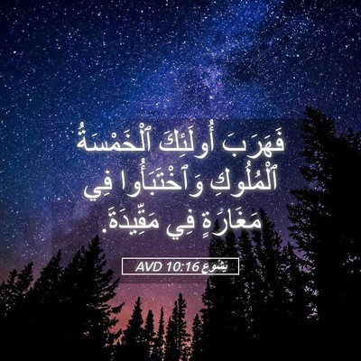 Picture 05 - يَشُوع 10:16 AVD - فَهَرَبَ أُولَئِكَ - Bible Verse Picture