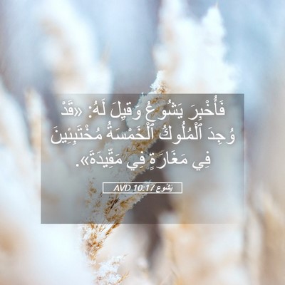 Picture 05 - يَشُوع 10:17 AVD - فَأُخْبِرَ يَشُوعُ - Bible Verse Picture