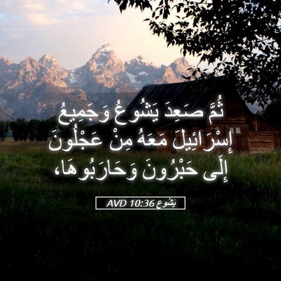 Picture 05 - يَشُوع 10:36 AVD - ثُمَّ صَعِدَ يَشُوعُ - Bible Verse Picture