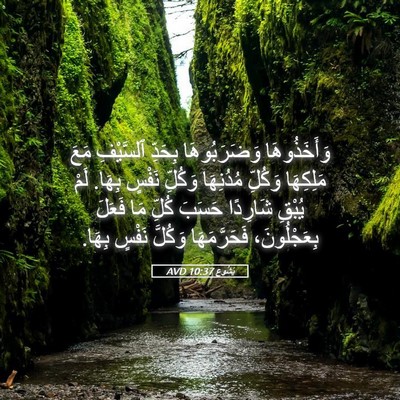 Picture 05 - يَشُوع 10:37 AVD - وَأَخَذُوهَا وَضَرَبُوهَا - Bible Verse Picture