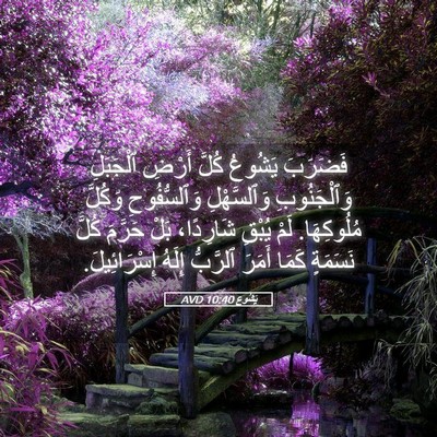Picture 05 - يَشُوع 10:40 AVD - فَضَرَبَ يَشُوعُ كُلَّ - Bible Verse Picture