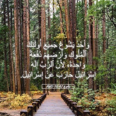 Picture 05 - يَشُوع 10:42 AVD - وَأَخَذَ يَشُوعُ جَمِيعَ - Bible Verse Picture