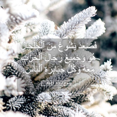 Picture 05 - يَشُوع 10:7 AVD - فَصَعِدَ يَشُوعُ مِنَ - Bible Verse Picture