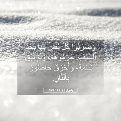 Picture 05 - يَشُوع 11:11 AVD - وَضَرَبُوا كُلَّ نَفْسٍ - Bible Verse Picture