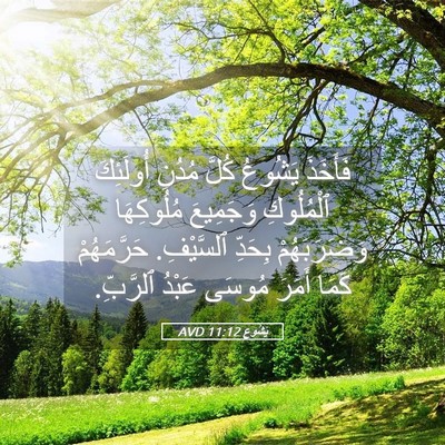 Picture 05 - يَشُوع 11:12 AVD - فَأَخَذَ يَشُوعُ كُلَّ - Bible Verse Picture