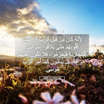 Picture 05 - يَشُوع 11:20 AVD - لِأَنَّهُ كَانَ مِنْ - Bible Verse Picture