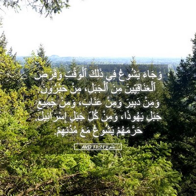 Picture 05 - يَشُوع 11:21 AVD - وَجَاءَ يَشُوعُ فِي ذَلِكَ - Bible Verse Picture