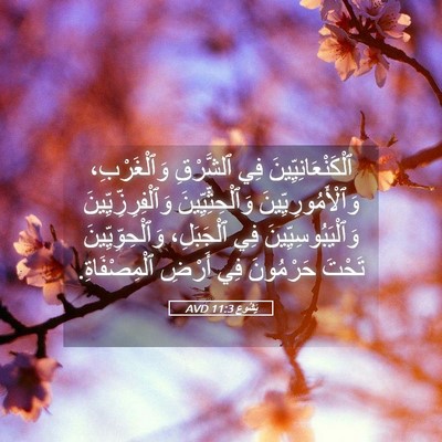 Picture 05 - يَشُوع 11:3 AVD - ٱلْكَنْعَانِيِّينَ فِي - Bible Verse Picture