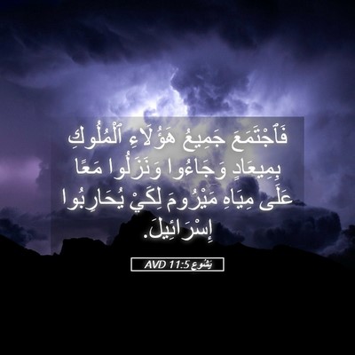 Picture 05 - يَشُوع 11:5 AVD - فَٱجْتَمَعَ جَمِيعُ - Bible Verse Picture