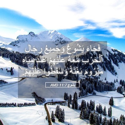Picture 05 - يَشُوع 11:7 AVD - فَجَاءَ يَشُوعُ وَجَمِيعُ - Bible Verse Picture