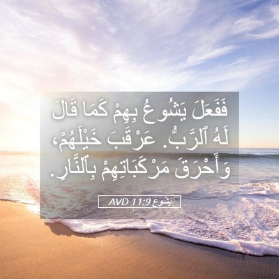 Picture 05 - يَشُوع 11:9 AVD - فَفَعَلَ يَشُوعُ بِهِمْ - Bible Verse Picture