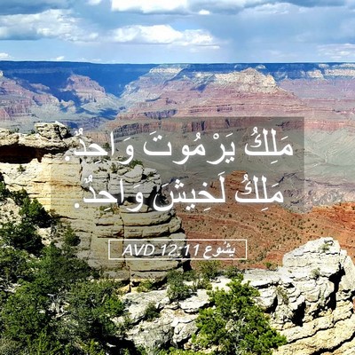 Picture 05 - يَشُوع 12:11 AVD - مَلِكُ يَرْمُوتَ وَاحِدٌ. - Bible Verse Picture