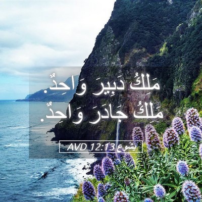 Picture 05 - يَشُوع 12:13 AVD - مَلِكُ دَبِيرَ وَاحِدٌ. - Bible Verse Picture