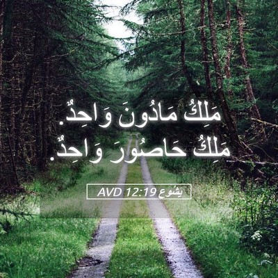 Picture 05 - يَشُوع 12:19 AVD - مَلِكُ مَادُونَ وَاحِدٌ. - Bible Verse Picture