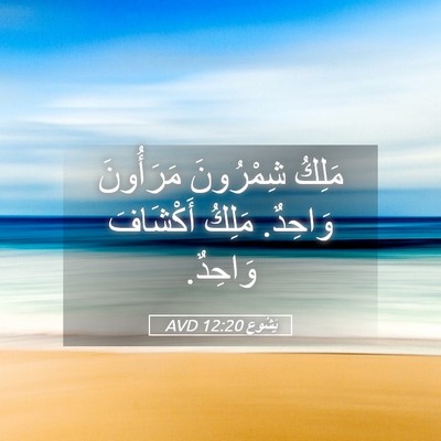 Picture 05 - يَشُوع 12:20 AVD - مَلِكُ شِمْرُونَ - Bible Verse Picture