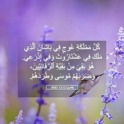 Picture 05 - يَشُوع 13:12 AVD - كُلَّ مَمْلَكَةِ عُوجٍ فِي - Bible Verse Picture