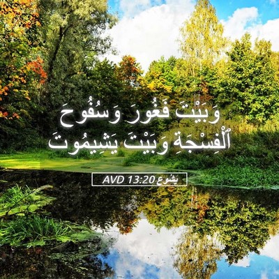 Picture 05 - يَشُوع 13:20 AVD - وَبَيْتَ فَغُورَ - Bible Verse Picture