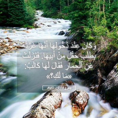 Picture 05 - يَشُوع 15:18 AVD - وَكَانَ عِنْدَ دُخُولِهَا - Bible Verse Picture