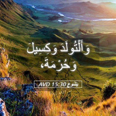 Picture 05 - يَشُوع 15:30 AVD - وَأَلْتُولَدَ وَكِسِيلَ - Bible Verse Picture