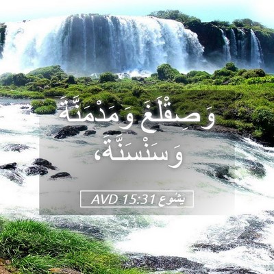 Picture 05 - يَشُوع 15:31 AVD - وَصِقْلَغَ وَمَدْمَنَّةَ - Bible Verse Picture