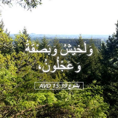Picture 05 - يَشُوع 15:39 AVD - وَلَخِيشُ وَبَصْقَةُ - Bible Verse Picture