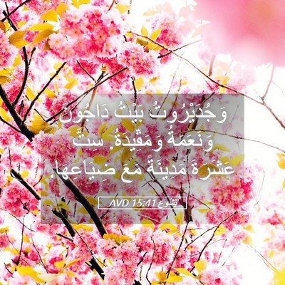 Picture 05 - يَشُوع 15:41 AVD - وَجُدَيْرُوتُ بَيْتُ - Bible Verse Picture