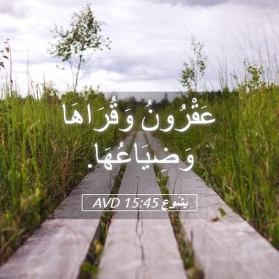 Picture 05 - يَشُوع 15:45 AVD - عَقْرُونُ وَقُرَاهَا - Bible Verse Picture