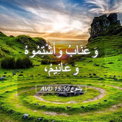 Picture 05 - يَشُوع 15:50 AVD - وَعَنَابُ وَأَشْتِمُوهُ - Bible Verse Picture