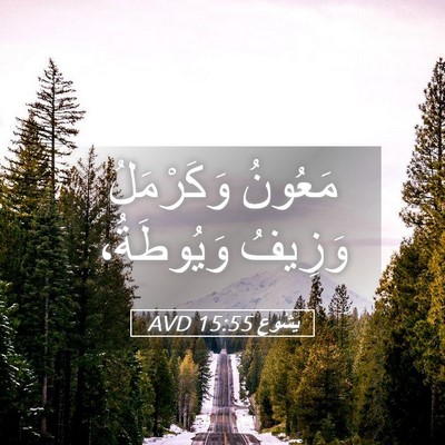 Picture 05 - يَشُوع 15:55 AVD - مَعُونُ وَكَرْمَلُ - Bible Verse Picture