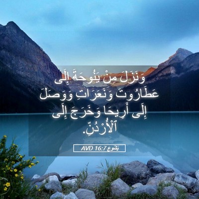 Picture 05 - يَشُوع 16:7 AVD - وَنَزَلَ مِنْ يَنُوحَةَ - Bible Verse Picture