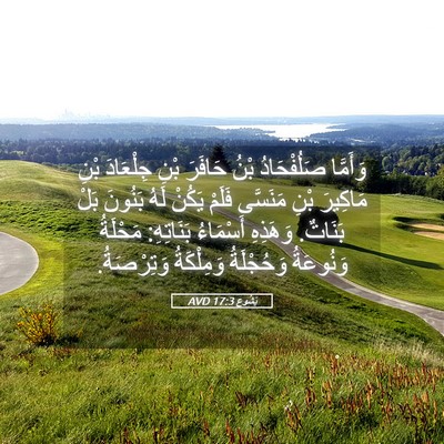 Picture 05 - يَشُوع 17:3 AVD - وَأَمَّا صَلُفْحَادُ بْنُ - Bible Verse Picture