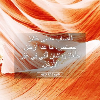 Picture 05 - يَشُوع 17:5 AVD - فَأَصَابَ مَنَسَّى عَشَرُ - Bible Verse Picture