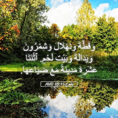 Picture 05 - يَشُوع 19:15 AVD - وَقَطَّةَ وَنَهْلَالَ - Bible Verse Picture