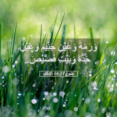 Picture 05 - يَشُوع 19:21 AVD - وَرَمَةَ وَعَيْنِ - Bible Verse Picture