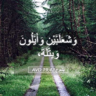 Picture 05 - يَشُوع 19:42 AVD - وَشَعَلَبَّيْنِ - Bible Verse Picture