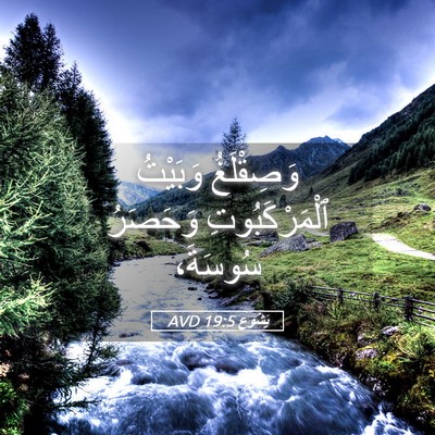 Picture 05 - يَشُوع 19:5 AVD - وَصِقْلَغُ وَبَيْتُ - Bible Verse Picture
