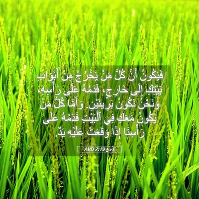 Picture 05 - يَشُوع 2:19 AVD - فَيَكُونُ أَنَّ كُلَّ مَنْ - Bible Verse Picture