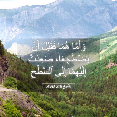 Picture 05 - يَشُوع 2:8 AVD - وَأَمَّا هُمَا فَقَبْلَ - Bible Verse Picture