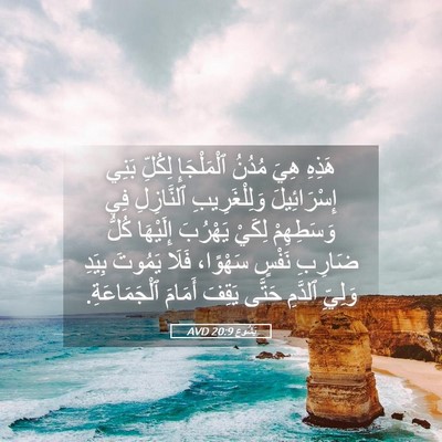 Picture 05 - يَشُوع 20:9 AVD - هَذِهِ هِيَ مُدُنُ - Bible Verse Picture