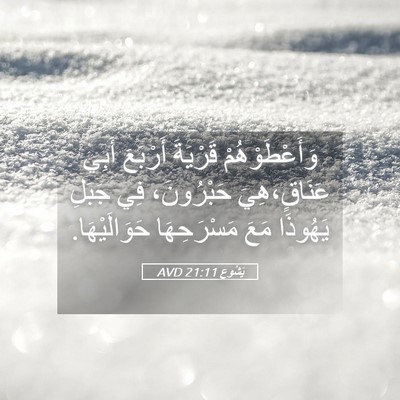 Picture 05 - يَشُوع 21:11 AVD - وَأَعْطَوْهُمْ قَرْيَةَ - Bible Verse Picture