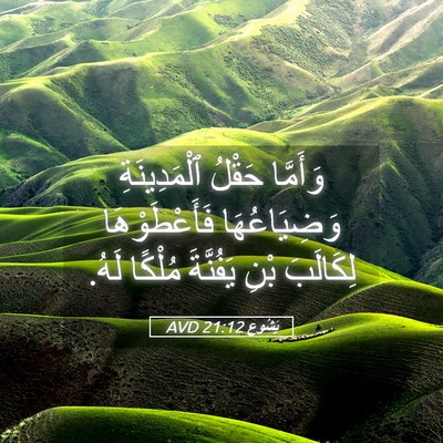 Picture 05 - يَشُوع 21:12 AVD - وَأَمَّا حَقْلُ - Bible Verse Picture