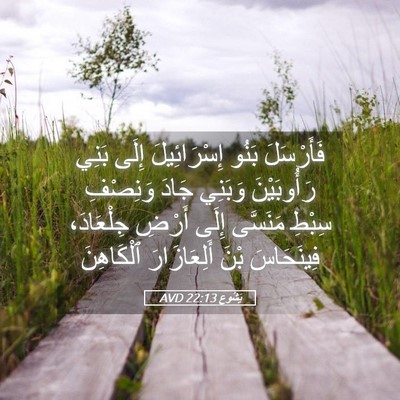 Picture 05 - يَشُوع 22:13 AVD - فَأَرْسَلَ بَنُو - Bible Verse Picture
